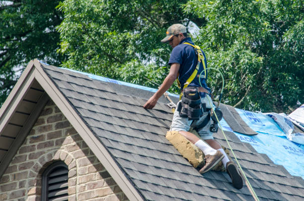 Quick and Trustworthy Emergency Roof Repair Services in Virginia Gardens, FL